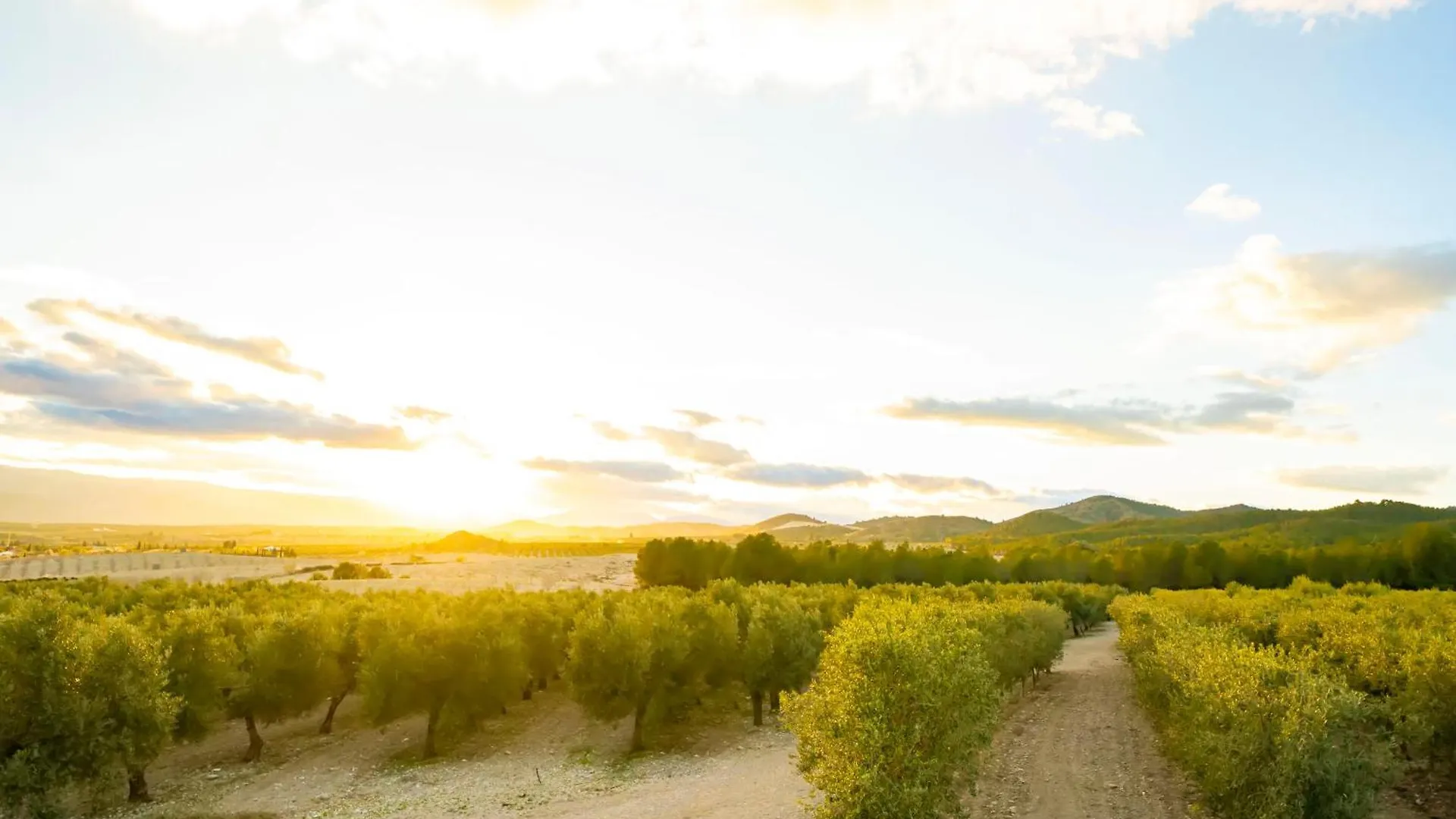 Finca El Espilo Lucar España
